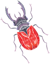 b1